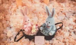 戴兔子头套的娱乐爆料,揭秘娱乐圈幕后故事